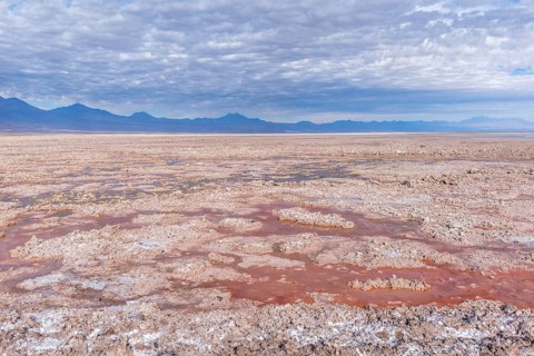 Laguna de Chaxa