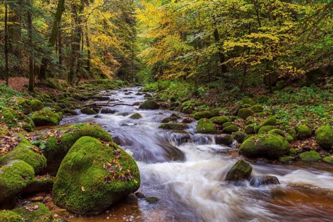 River Grobbach