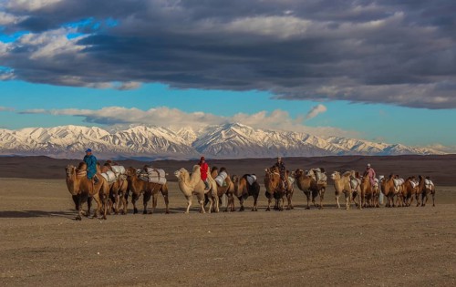 Mongolian nomads riding on camels through steppe