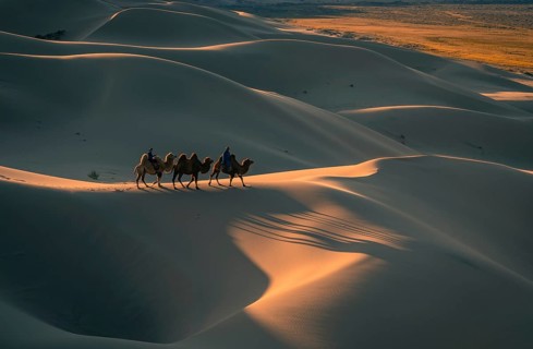 Nomads riding Bactrian camels