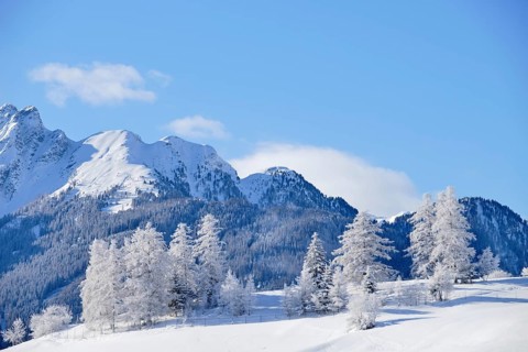 Winter landscape