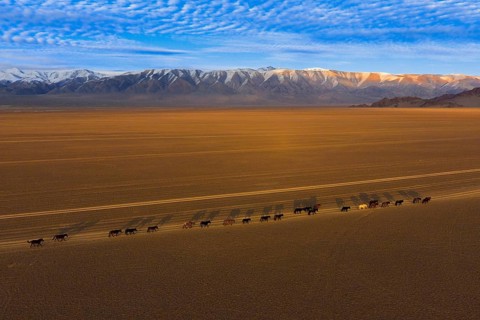 Sutai Mountains