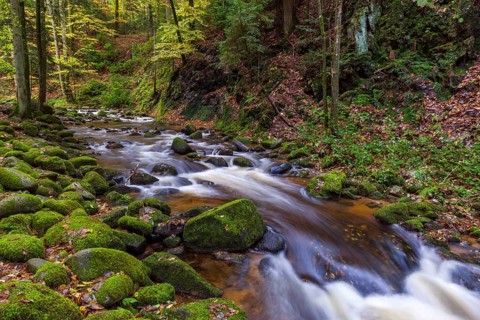 River Grobbach