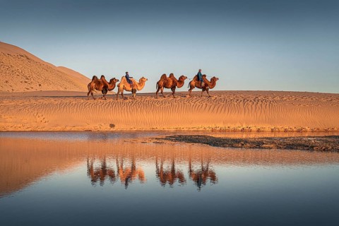 Caravan