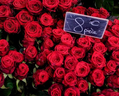 Red roses with price list on Valentine's Day