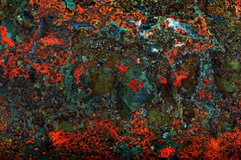 Rusty tin