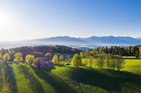Buchberg near Wackersberg in the morning light