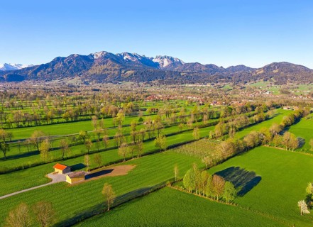 Hedge landscape in the Isar valley near Gaissach