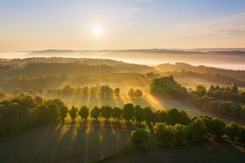 Cultural landscape with fog in morning light