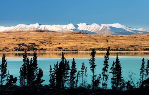 Lake Pukaki in front of snowy mountain range
