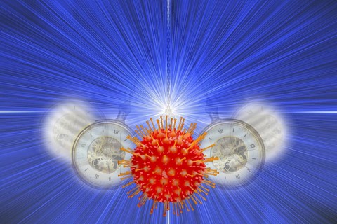 Photomontage