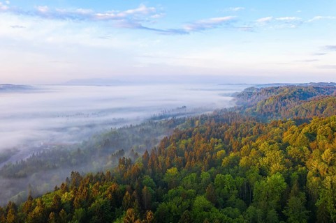 Fog in the Isar valley in the morning light