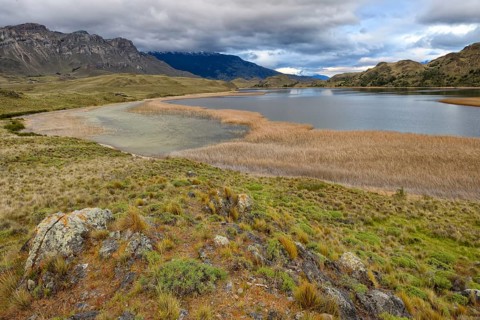 Laguna with marsh grass