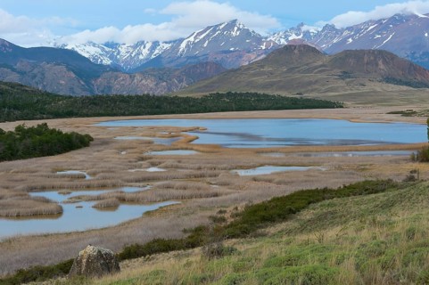 Laguna with marsh grass
