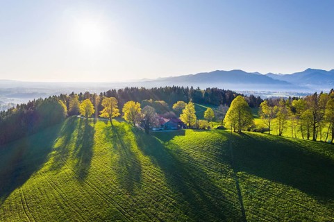 Buchberg near Wackersberg in the morning light