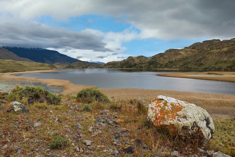 Laguna with marsh grass