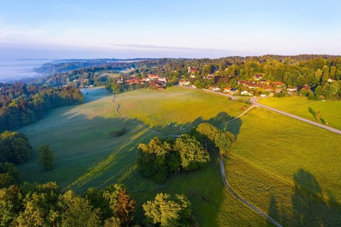 Meadow landscape in the morning light