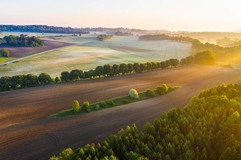 Cultural landscape in the morning light