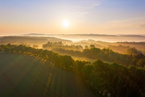Cultural landscape with fog in morning light