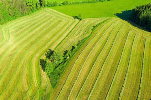 Mowed meadows near Eurasburg