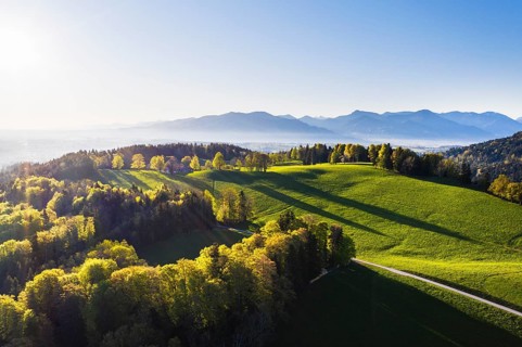Buchberg near Wackersberg in the morning light