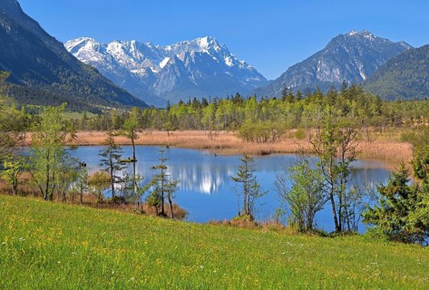 Moor landscape near the Seven Springs towards the Zugspitze massif in the Wetterstein range