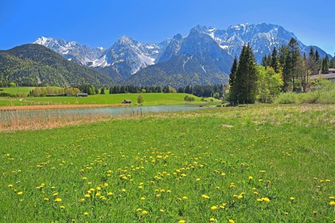 Spring meadow at the Schmalensee in front of Karwendel Mountains
