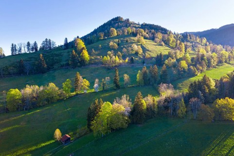 Sonntratn mountain peak in spring