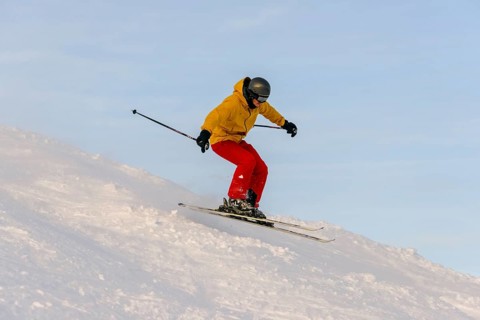 Skier