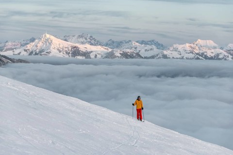 Skier