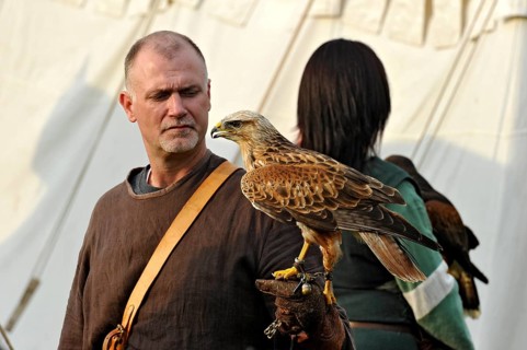 Falconer with Eastern Imperial Eagle