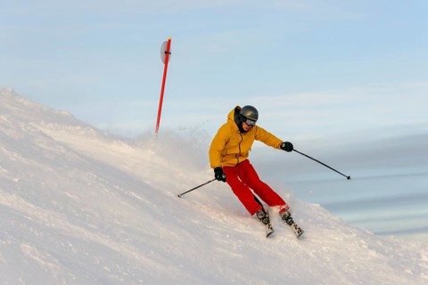 Skier