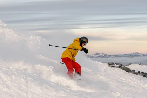 Skier