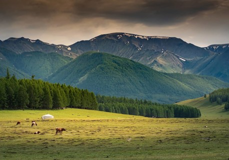 A nomad tent or ger in summer in front of the Hanhuhii Mountains