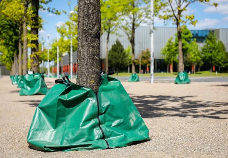 Water sacks irrigate trees in the urban area during drought
