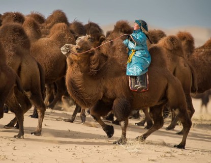 A shepherdess on a camel