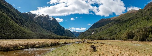 Mountain stream