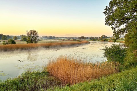 Stille Reuss Nature Reserve