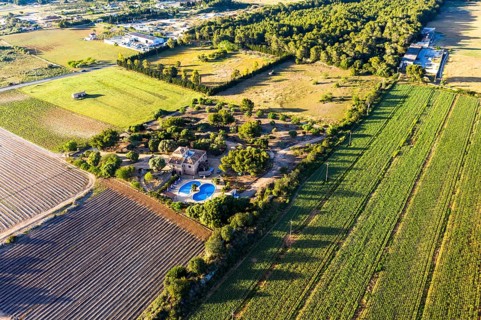 Aerial views