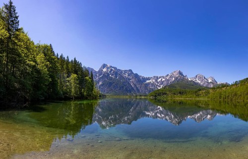 Almsee