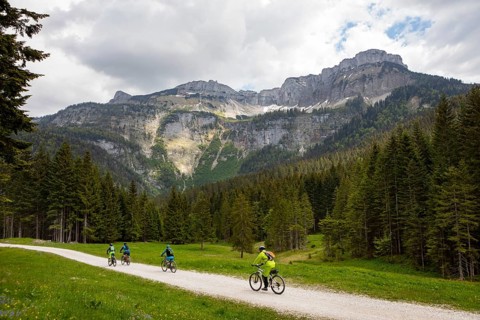 Mountain bikers at the Blaa Alm