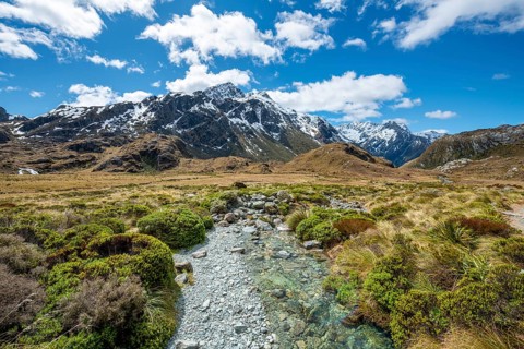 Mountain stream Route Burn and Mount Xenicus