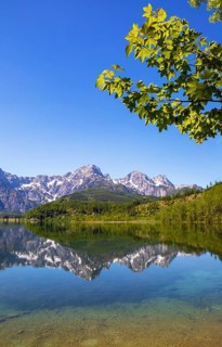 Almsee