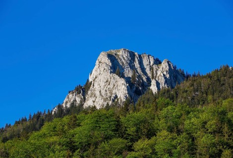 Summit of the Frauenkopf near Fuschl am See