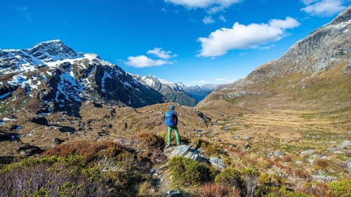 Hiker on the Routeburn Track