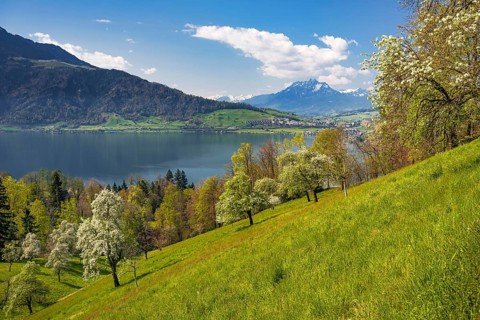 View of Lake Zug and Mount Pilatus