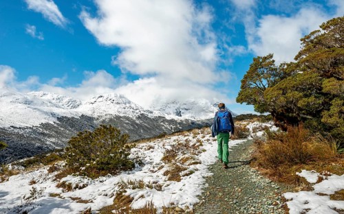 Hiker on trail to Key Summit