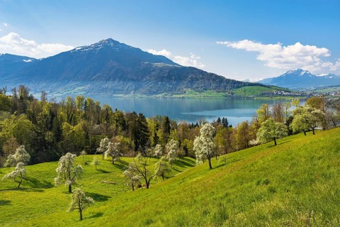 View of Lake Zug with Rigi and Pilatus