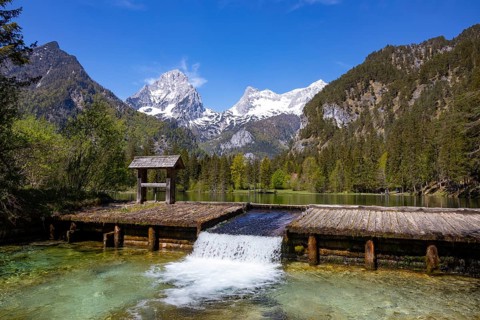 Schiederweiher