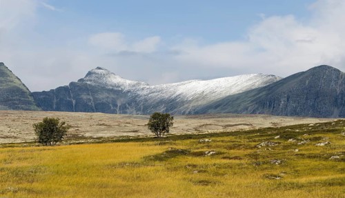 Barren landscape in autumn